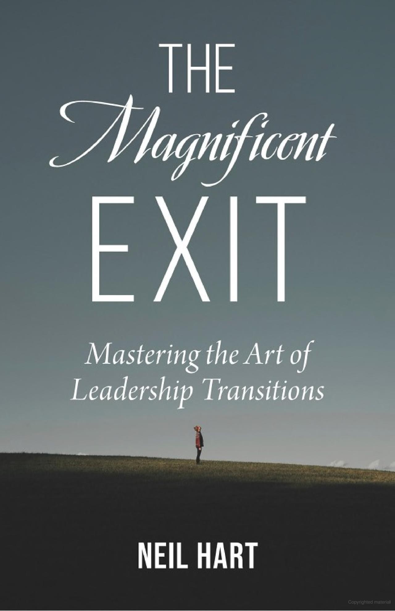 Book Cover of the Magnificent Exit showing a landscape with a person standing on it